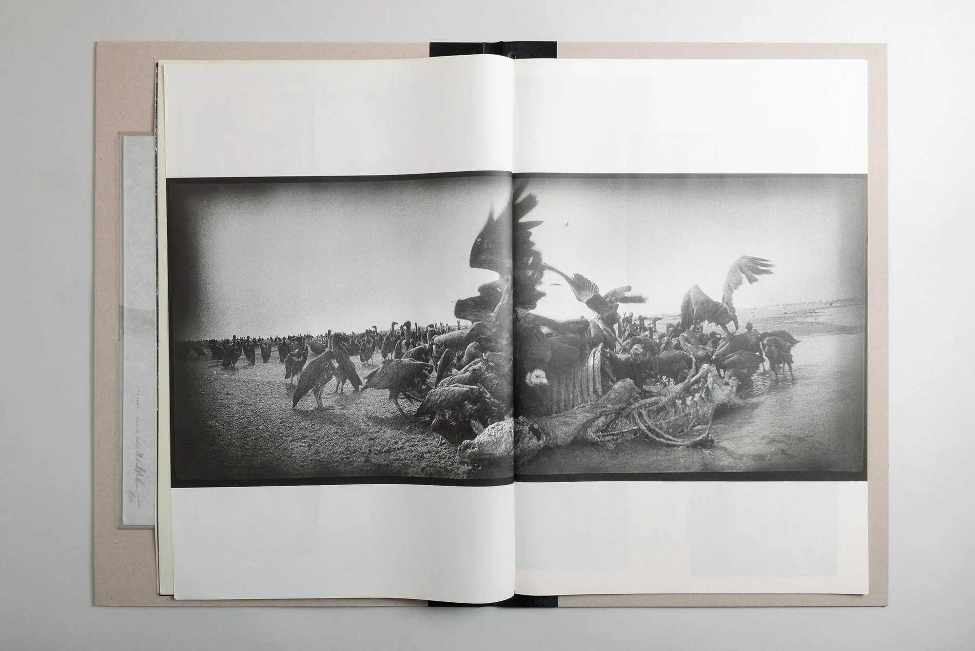 Michael Ackerman – Epilogue COLLECTOR'S EDITION — Void